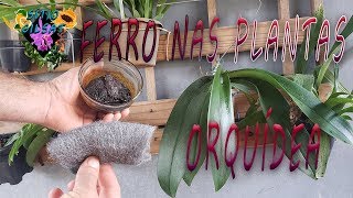 Como fazer suporte de ferro para plantas quottriciclo quot [upl. by Ttezzil]