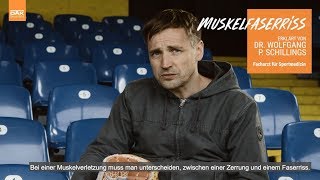 Muskelfaserriss erkennen und behandeln  Sportverletzungen erklärt von Dr Wolfgang Schillings [upl. by Gan]