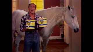 Wattyl  Chester the Wattyl horse  Australian TV ADCommercial 80s [upl. by Nahtaoj]