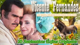 VICENTE FERNANDEZ MIX PURO DESPECHO [upl. by Fogg]