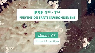 PSE module C7 bis  Limmunité spécifique [upl. by Hamal]