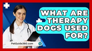 What Are Therapy Dogs Used For  PetGuide360com [upl. by Ydderf981]