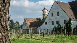 Edenkobener Pflanzen und Gartenmarkt Weinstraße Rietburgbahn [upl. by Staci290]