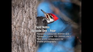 Panasonic Leica 100400mm and Panasonic Lumix 100300mm mk II comparaison for wildlife photography [upl. by Melia]