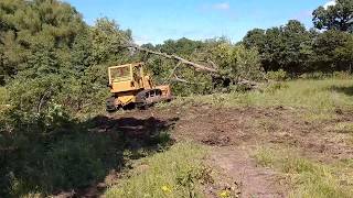 D6C pulling windblown trees from pond [upl. by Deanne]