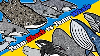 Shark or Whale  Lets Draw amp Color Sea Animals and Learn Fun Animal Facts about Sharks and Whales [upl. by Aicinod792]