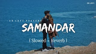 Samandar  Lofi Slowed  Reverb  Jubin Nautiyal Shreya Ghoshal  SR Lofi [upl. by Keithley618]