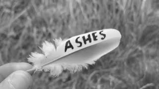 EMBRACE  ASHES  A Lyric Video [upl. by Eitsyrk]