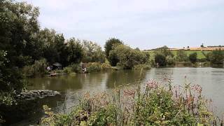 VIADUCT FISHERY SOMERTON SOMERSET [upl. by Castillo]