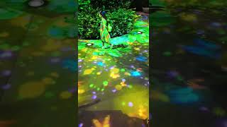 shorts Lights Projection Butterflies singapore sentosa nightlight lightprojection interactive [upl. by Suiravad]