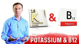 Potassium and Vitamin B12 Balance Explained by DrBerg [upl. by Nanreh342]