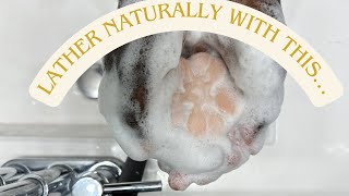 Lather Showdown Vinegar Pumpkin Puree Honey and Sugar in Soap [upl. by Ru]