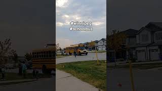 travel dailyvlog winnipeggers winnipeg tourism manitoba school northamerica canada road [upl. by Carly]