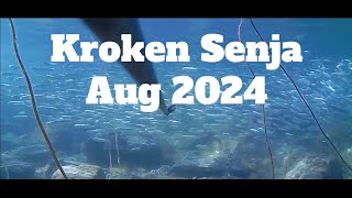 Vanlife Norway  Snorkling Kroken Senja Aug 2024 [upl. by Massimiliano]