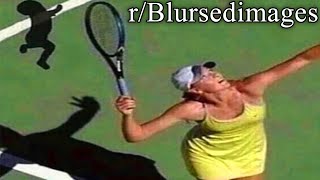 rBlursedimages  this isnt tennis [upl. by Leaw]