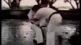 PART 14 Hung I Hsiang BBC Documentary [upl. by Adnerol204]