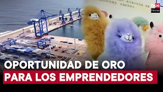 Megapuerto de Chancay un fuerte y estratégico lazo que traerá desarrollo para China y Perú [upl. by Eph]