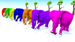 Learn Colors with Animals for Children  Colour Elephant Rhymes  Learning Video for Kids Toddlers [upl. by Gupta268]