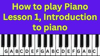 How to play piano  Lesson 1 Introduction to piano [upl. by Attekahs135]