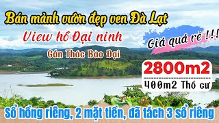 Bán rẻ mảnh vườn View Hồ Đại Ninh rộng 2800m2 có 400m2 thổ cư ven Đà Lạt đã tách 3 sổ amp thu cà phê [upl. by Aulea]