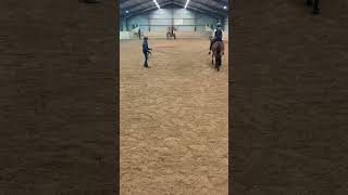 horse equestrian 2024 pony häst jumping riding automobile horseriding dressage mollymoli [upl. by Auqeenwahs]