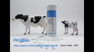 Ringbio BetaLactams  Tetracyclines Combo Test Kit 3min3min at 40C [upl. by Aivilo]