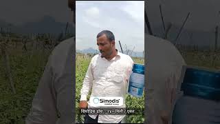 Simodis insecticide farming syngenta sygenta simodis insecticides tomato agriculture nashik [upl. by Sammer]