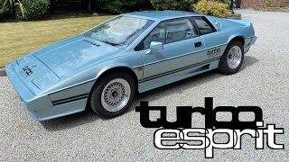 The Lotus Turbo Esprit is Peak 80s Magnificence [upl. by Henni]