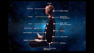 THE MICROCOSMIC ORBIT  ULTIMATE VERSION Powerful Qigong Healing Meditation [upl. by Eitirahc]