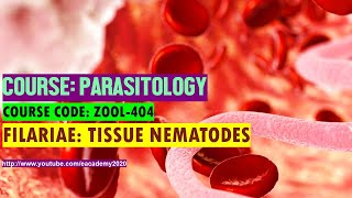 Filariae Tissue Nematodes [upl. by Sola]