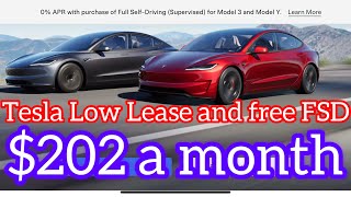 Leasing a 2024 Tesla model 3 for as low as 202 a month with Free FSD 1month Full Self Driving [upl. by Aynotan]