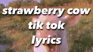 strawberry cow  look at you strawberry cow you make me go wow  tik tok lyrics [upl. by Mark241]