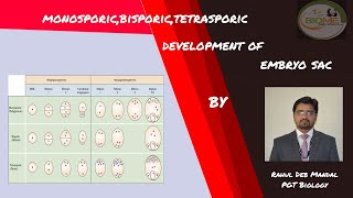 MonosporicBisporicTetrasporic Development of Embryo Sac Class XIIBy Rahul Sir Biome [upl. by Sabra]