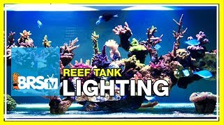 Week 18 Aquarium Lighting Replicating the Sun Over the World’s Reefs  52 Weeks of Reefing [upl. by Aisatan]