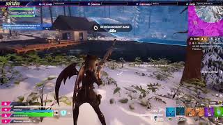 petit fortnite avec mon dog [upl. by Kurland]