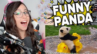 Bunny REACTS to Ozzy Man Reviews PANDAS 😂 [upl. by Aicatsue]