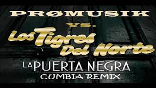 Los Tigres Del Norte  La Puerta Negra 2k19 Promusik Cumbia Remix [upl. by Jadda]