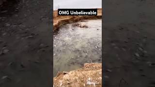 Omg unbelievable fishinglife fishtank fisherman fishvideo river aquarium catfish fish craft [upl. by Hach]