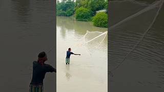 amazing village fishing catching in river best cast net fishing in river treditional river fishing [upl. by Chamkis]