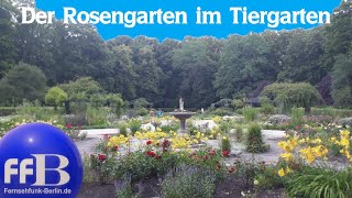 Der Rosengarten im Tiergarten [upl. by Hsepid452]