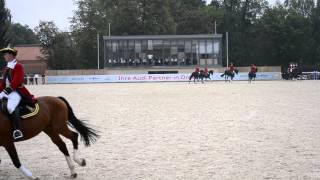 Hengstparade Moritzburg 13092014 Große Dressurquadrille mit 25 Warmbluthengsten [upl. by Eimareg]