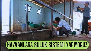 SULUK TESİSATI VE MONTAJI  HAYVANLARA TEMİZ SU [upl. by Adara]