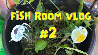 fish room vlog 2 [upl. by Nosna]