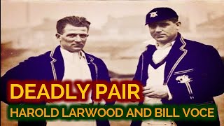 DEADLY PAIR WHO CHANGED FAST BOWLING FOREVER LARWOOD AND VOCE [upl. by Naek]