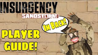 Expert Player Wisdom  INSURGENCY SANDSTORM GUIDE [upl. by Schoening]