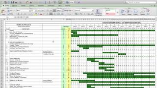 quotPlanilha de Cronograma FísicoFinanceiroquot por Leandro Borges da wwwluzvc [upl. by Ecyoj]