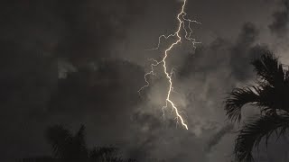 Tropical Thunderstorm amp Rain Sounds For Sleeping Relaxing  Rumbling Storm Equatorial Ambience [upl. by Annoled]