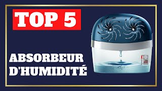 TOP 5  Meilleur Déshumidificateur 2024 [upl. by Pavlov360]