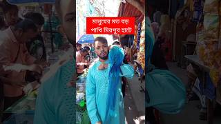 মানুষের মতো বড় পাখি মিরপুর হাটে  পাখি  Pakhi  মিরপুর ১ পাখির হাট  টিয়া পাখি  Tiya Pakhi short [upl. by Hamlet]