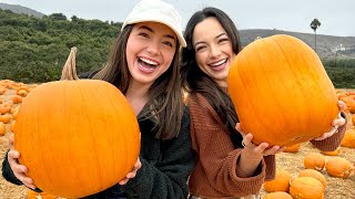 Twins vs Twin Who picked the Best Pumpkin [upl. by Lanaj]